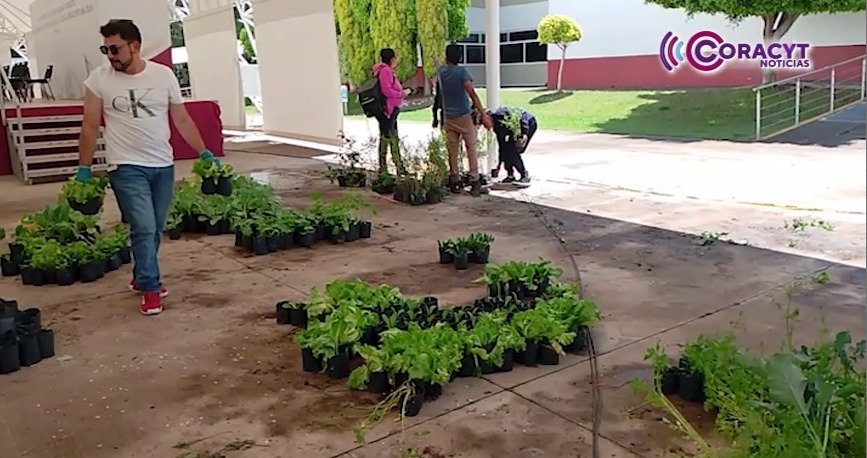 Tlaxcaltecas se suman a acciones de mitigación del cambio climático