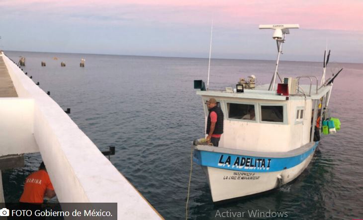 Marina asegura 130 kg de tiburón por pesca ilegal en Islas Marías