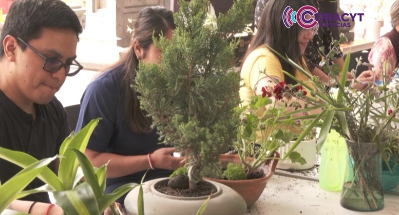 Promueven el arte floral japonés como opción de emprendimiento sustentable