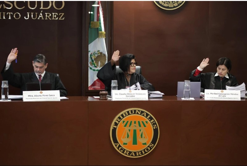 Resoluciones de Tribunales Unitarios Agrarios aumentaron 5.6 por ciento en 2025