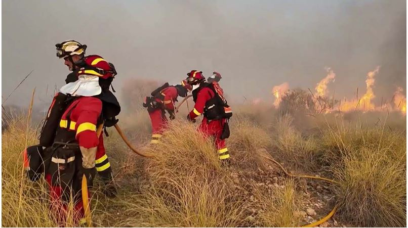 Van 11 fallecidos por incendio forestal en España; víctimas intentaban huir