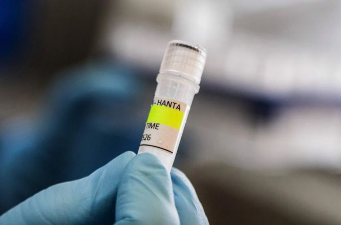 Reportan primer caso de hantavirus en Israel