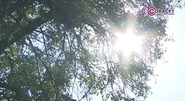 Alerta Sector Salud sobre riesgos de quemaduras solares 