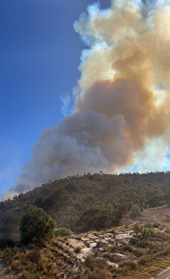 Gobierno del estado se mantiene alerta ante incendio en Puebla
